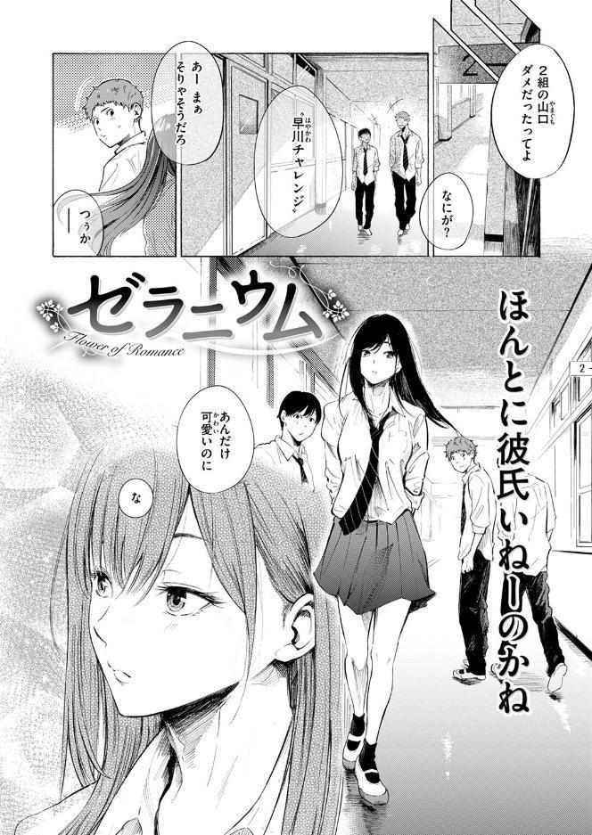 ゼラニウム