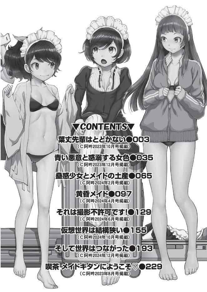 コスプレメイドがいかがわしい