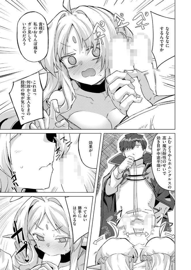 ホムンクルスの使いかた