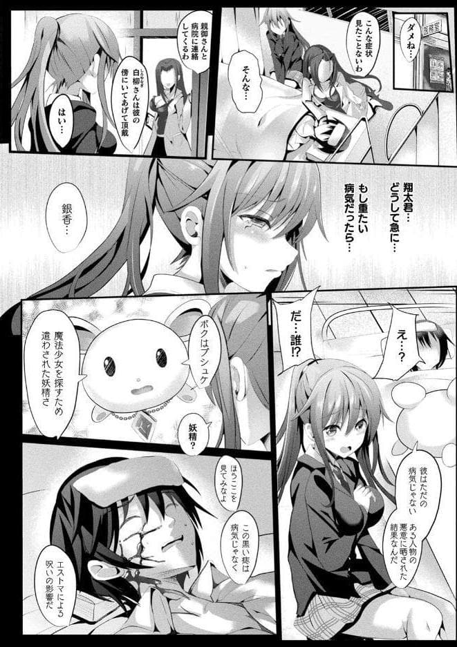 魔法少女マーテルレア ―散らされし純潔―