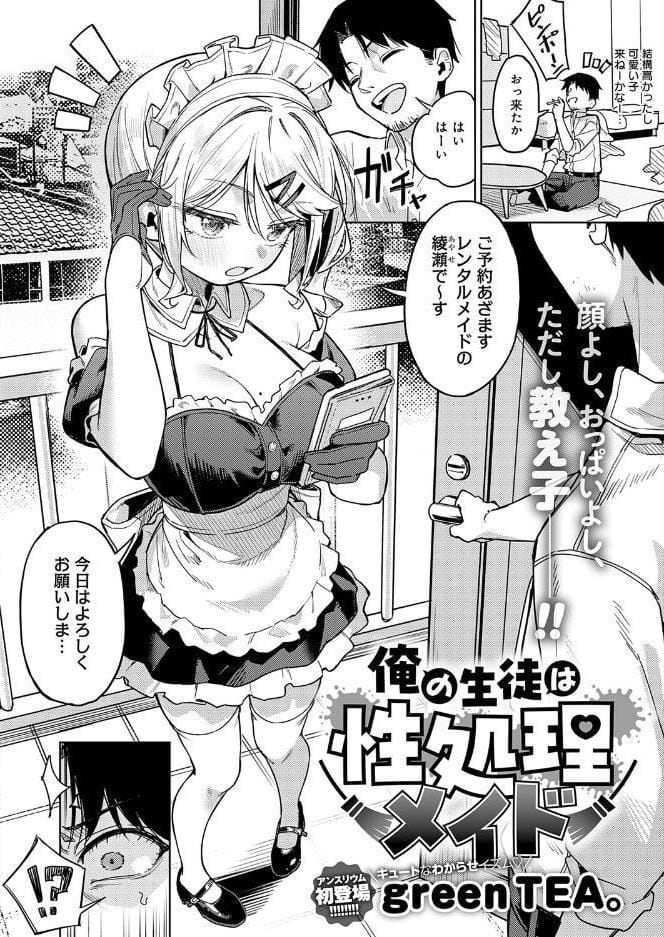 俺の生徒は性処理メイド