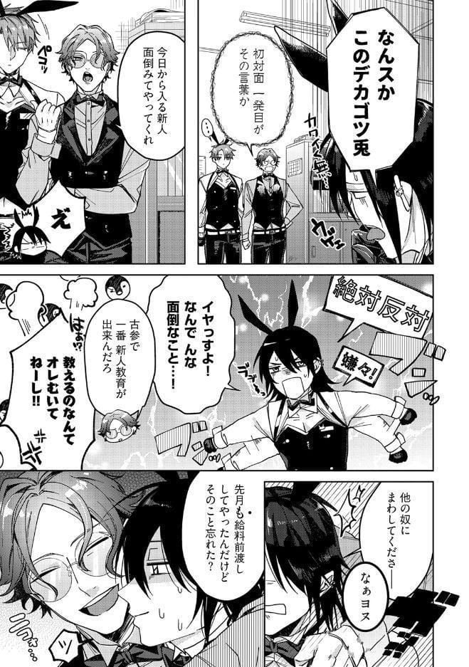 【18禁版】バニーバニー×ロンリネスナイト【コミックス版】【18禁版限定描き下ろし漫画付き】
