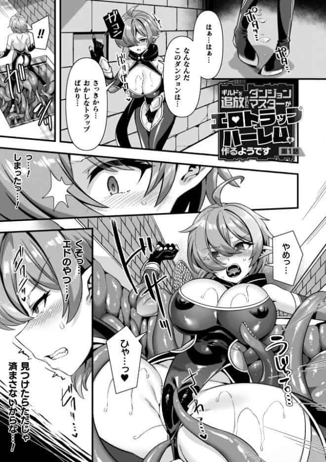 ギルドを追放されたダンジョンマスターがエロトラップでハーレムを作るようです
