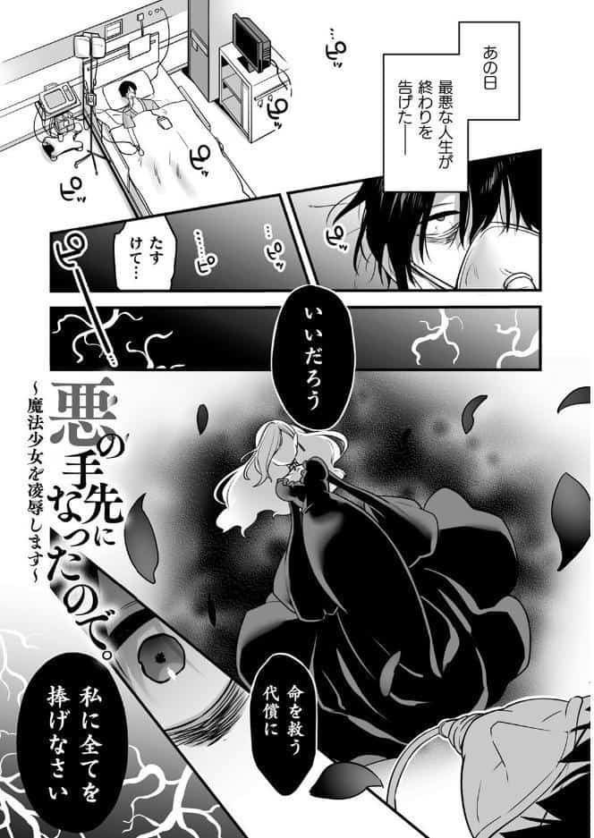 悪の手先になったので。 〜魔法少女を××します〜 THE BOOK1