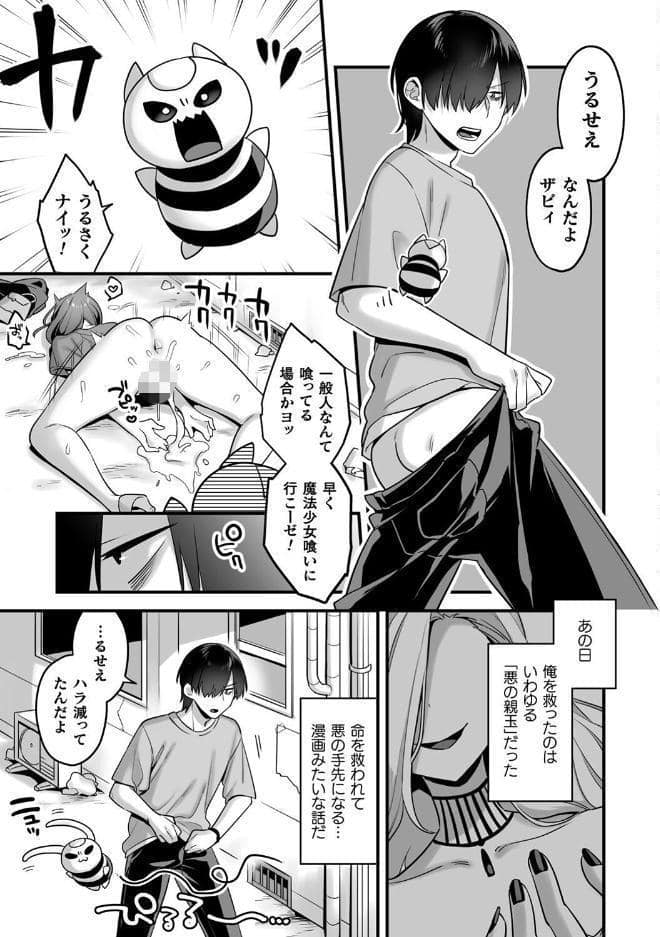 悪の手先になったので。 〜魔法少女を××します〜 THE BOOK1