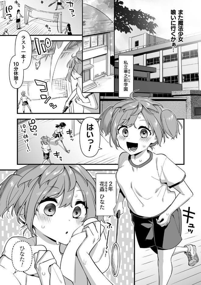 悪の手先になったので。 〜魔法少女を××します〜 THE BOOK1