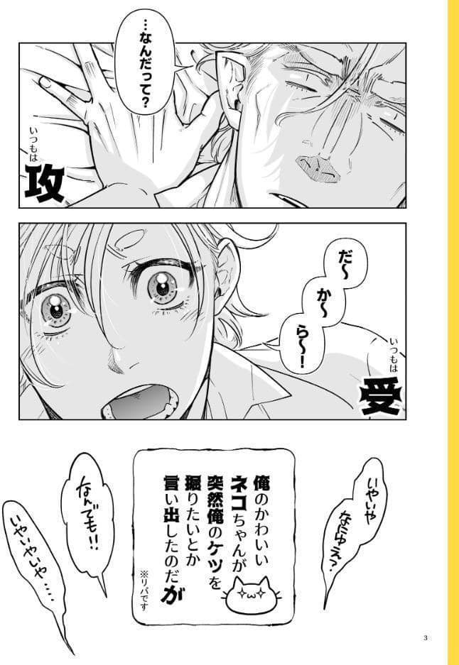 おたわむれ☆マイロード！ 【5】 俺の可愛いネコちゃんが突然俺のケツを掘りたいとか言い出したのだが