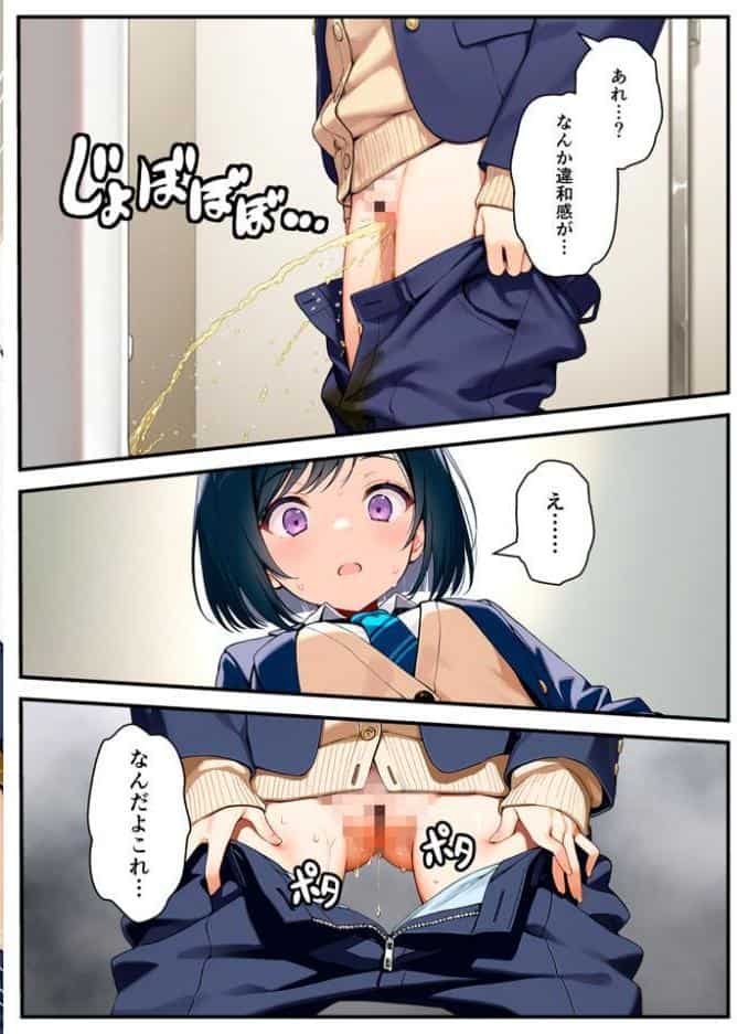 好きな子にフラれて女体化させられた生徒会長がマチアプで出会った同級生にメス堕ちする話 モザイク版