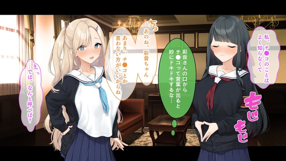 ダブル処女のパンスト学園〜神聖な風紀委員室でパコパコハメる2人のお嬢様たち〜