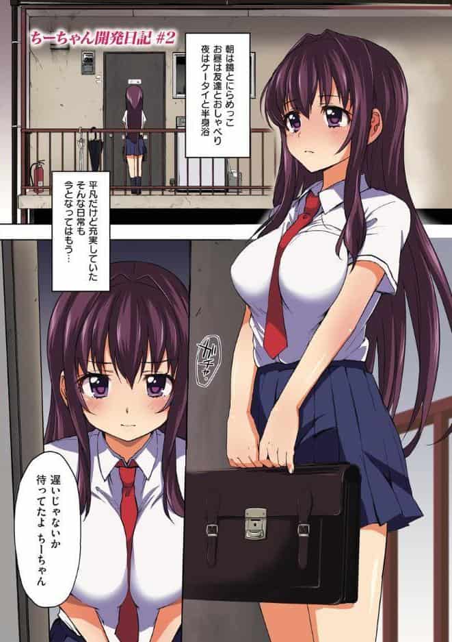 ちーちゃん開発日記【通常版】