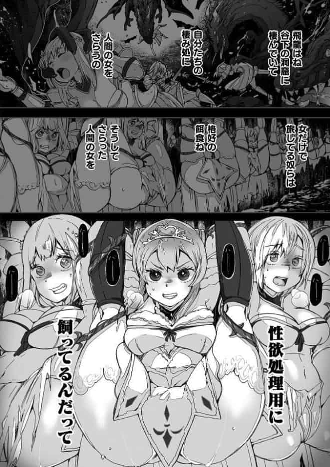 わたしの竜になりなさい！ 〜ドラゴンになってファンタジー娘とHしまくり旅〜 第2話