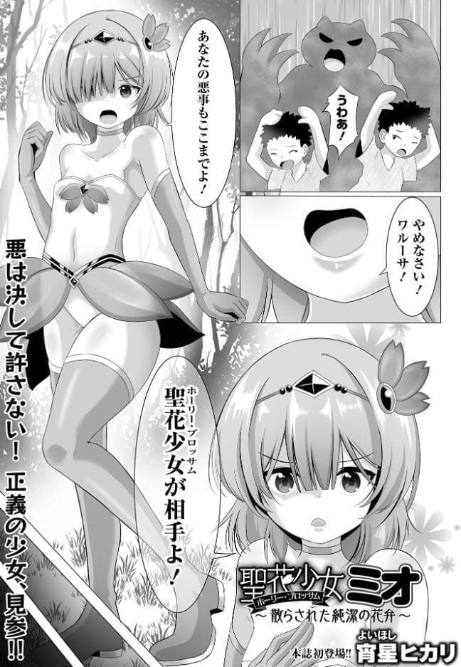 聖花少女ミオ -散らされた純潔の花弁-