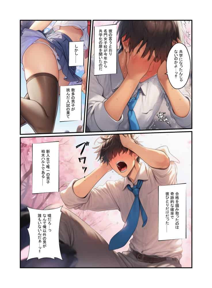 絶頂ハーレム学園！風紀委員の美少女と濃厚中出し