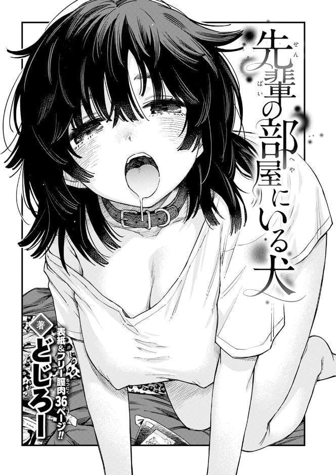 先輩の部屋にいる犬