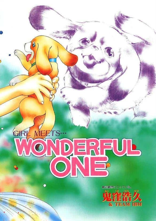 WONDERFUL ONE