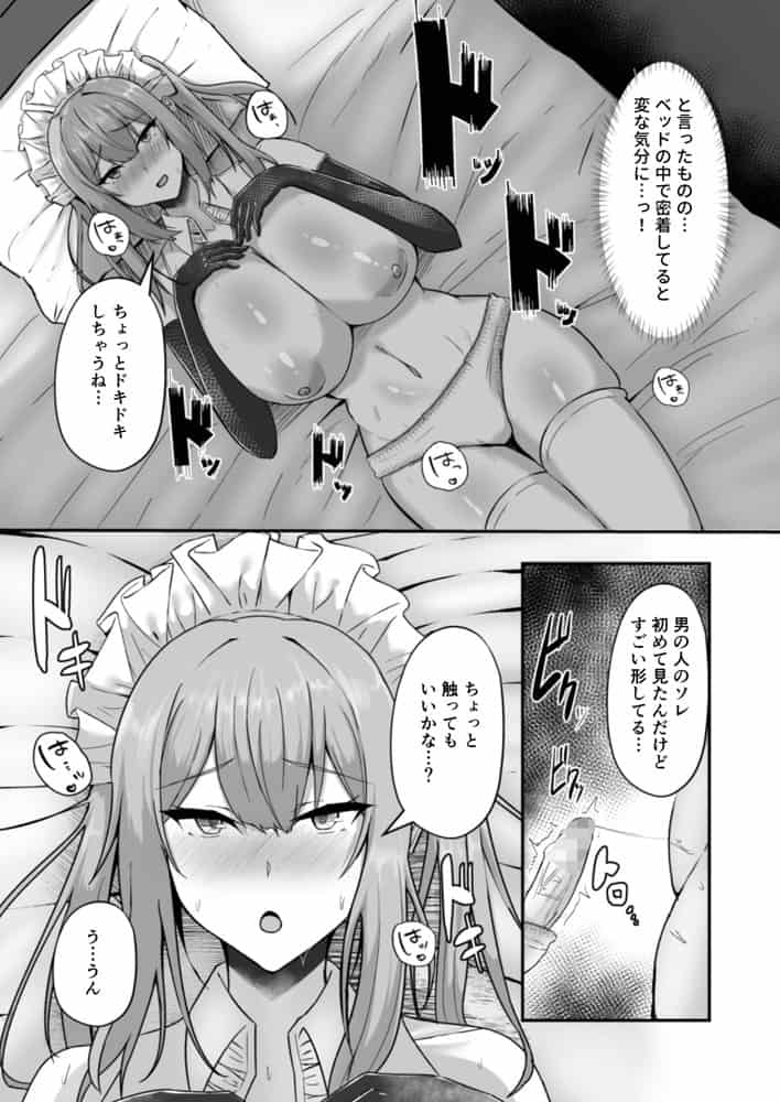貧乳ユートピアの隠れ巨乳2 〜禁制爆乳バレから始まる王子専属Wメイド種付け教育〜