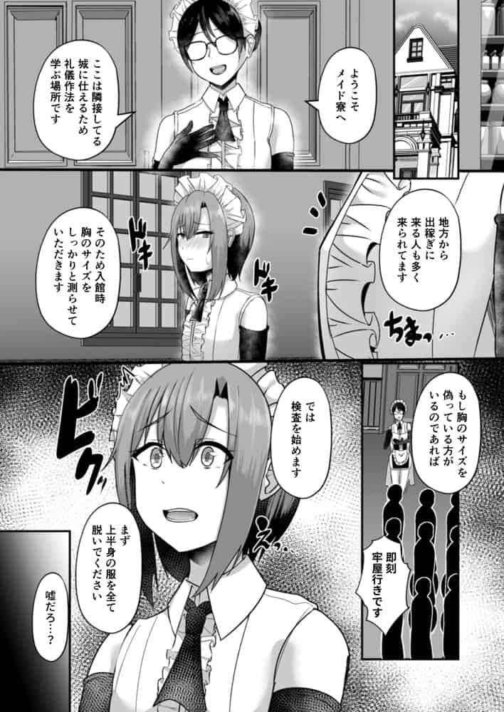 貧乳ユートピアの隠れ巨乳2 〜禁制爆乳バレから始まる王子専属Wメイド種付け教育〜