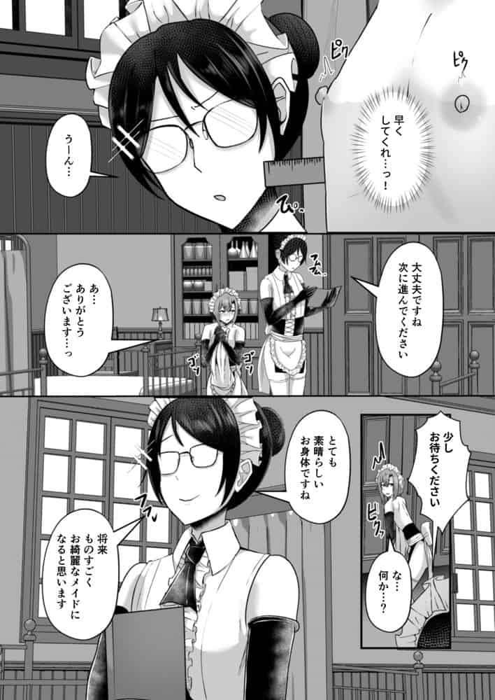 貧乳ユートピアの隠れ巨乳2 〜禁制爆乳バレから始まる王子専属Wメイド種付け教育〜