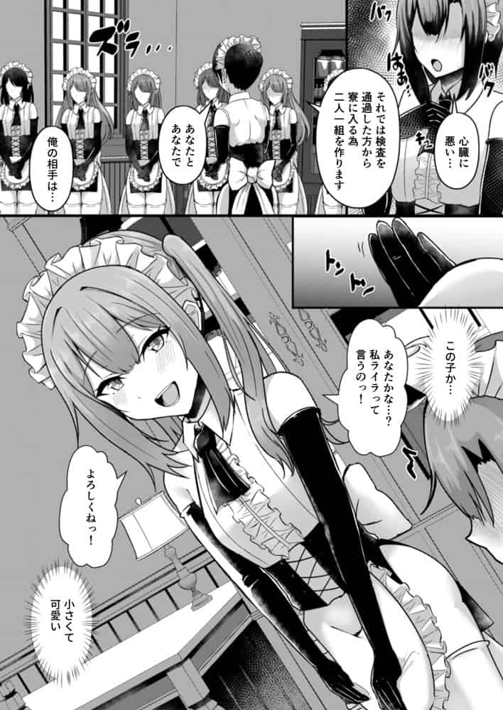 貧乳ユートピアの隠れ巨乳2 〜禁制爆乳バレから始まる王子専属Wメイド種付け教育〜