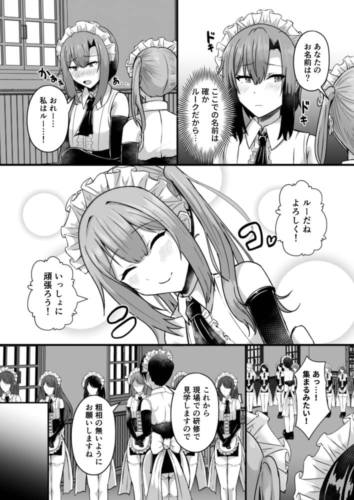 貧乳ユートピアの隠れ巨乳2 〜禁制爆乳バレから始まる王子専属Wメイド種付け教育〜