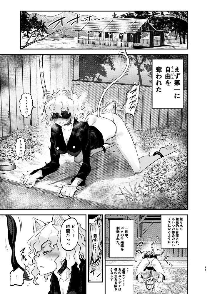 調教師  操作系なんてボク知らない！