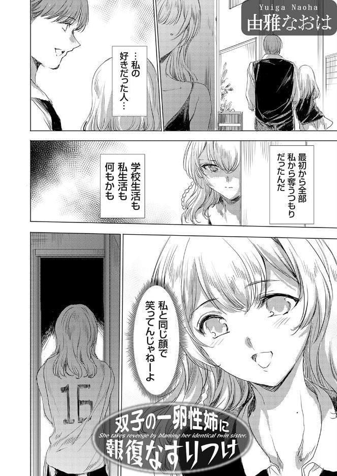 双子の一卵性姉に報復なすりつけ