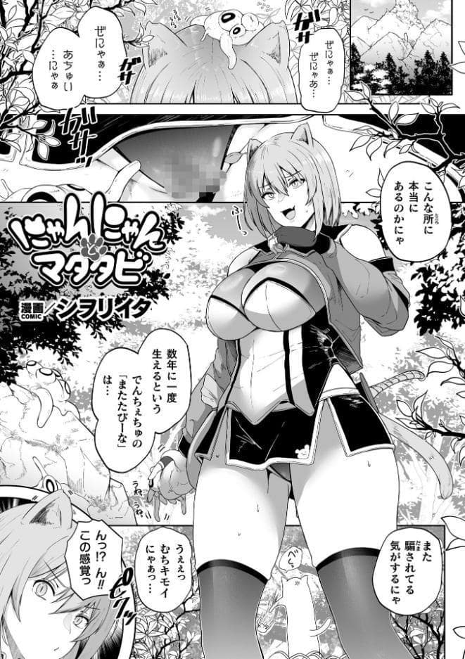 にゃんにゃんとマタタビ【単話】